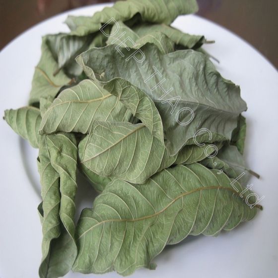DRIED GUAVA LEAVES