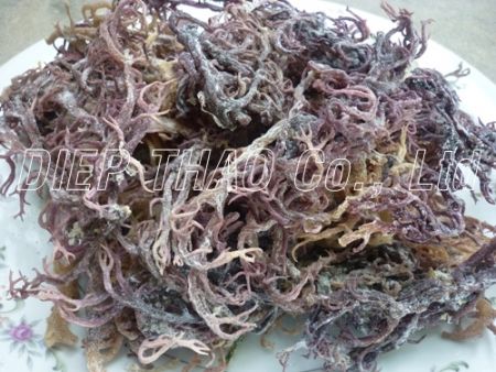 Raw cottonii seaweed